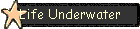 Life Underwater