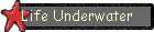 Life Underwater