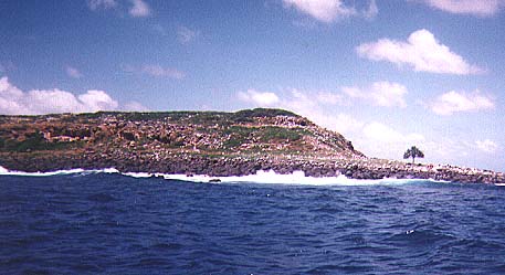 Cook Isl (30780 bytes)