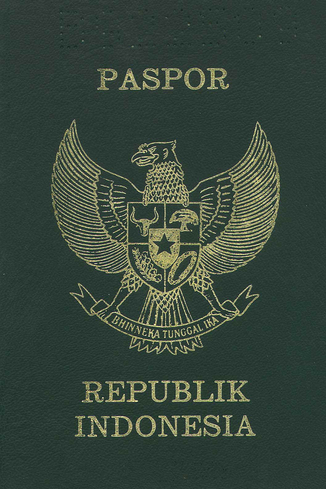 Passport (274925 bytes)