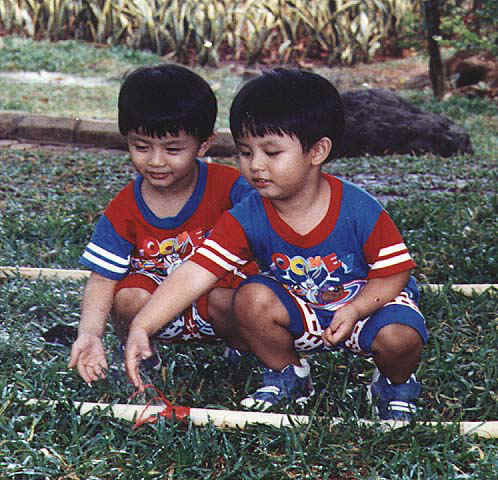 Twins1 (78810 bytes)