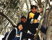 snow4.jpg (50054 bytes)